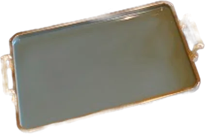 Gold-handled sage serving tray